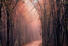 奇异果体育:曼联和出租球员有望包揽欧洲三大杯!若实现红魔大赚,或收入两亿.