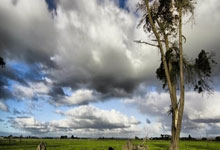 不敌9号种子 王雅繁止步澳网第二轮央视新闻客户端.