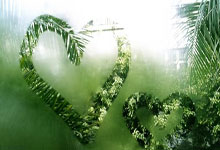 奇异果体育:赵睿传人出世,助新疆6分险胜上海,夺冠有望.