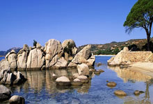 皇马官宣与罗德里戈完成续约,新约至2028年央视网体育.